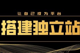 独立站专业建站团队（独立站搭建）