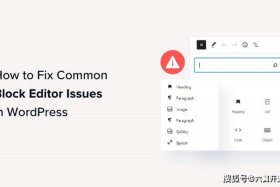 wordpress二次开发文档，wordpress最好用编辑器