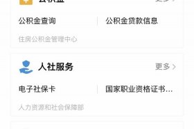 工资查询小程序，工资查询小程序怎么弄