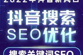 seo短视频网页入口，seo短视频网页入口营销
