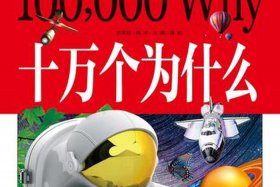 seo的十万个为什么（seo 十万个为什么）