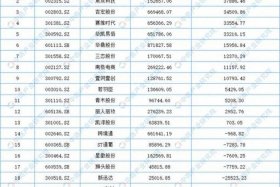 电商平台制作公司、电商平台制作公司排名