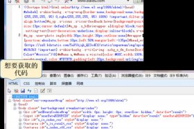 html网页源代码，网站首页源代码