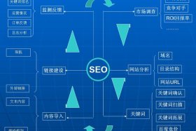 seo案例分析百度 seo案例分析百度百科