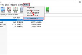 wix使用教程 vnr使用教程