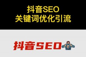 seo查询优化、seo搜索引擎优化平台