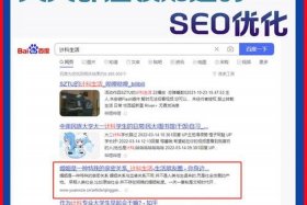 seo策略全称；seo产品策略