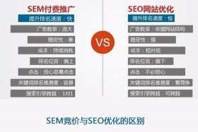 seo推广是什么 SEO网络推广的分类