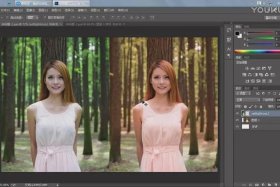 ps教程自学网视频免费、ps基础视频