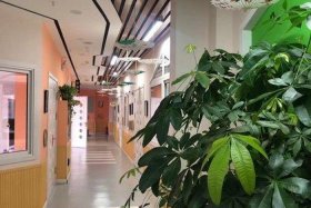 北京杰诚网站建设（北京杰诚天下教育科技有限公司）