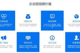 seo短视频网页入口引流在线播放、抖音seo排名优化