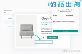 wordpress独立站电商源码，wordpress可以做商城吗