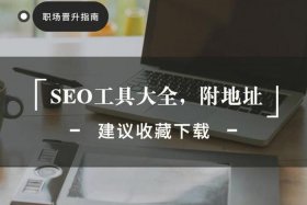 seo综合查询软件排名，SEO综合查询工具