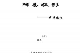 seo案例分析广告 seo营销案例