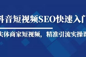 seo零基础入门到精通200讲 seo短视频网页入口引流