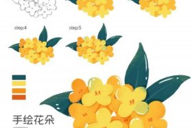 ps插画教程自学入门视频、ps课程教学零基础