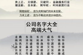 高端的公司、高端大气的公司名字大全