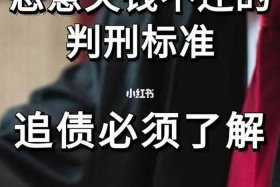 恶意拖欠商城欠款一案 - 恶意拖欠立案会如何处罚