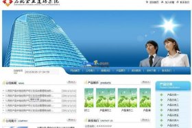 公司官方建站平台排名（公司官网建站）