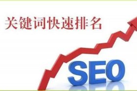 seo工具查看关键词排名（查关键词排名工具app）