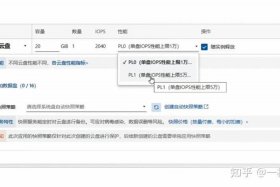 wordpress建站程序，wordpress网站搭建
