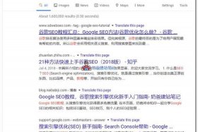 Google SEO站群服务器 - google seo整站优化