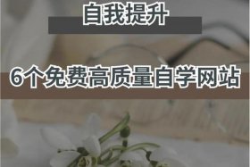 oeasy自学网官网下载、我要自学网官网入口AE