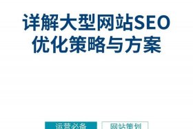 seo网站推广全程实例 一个具体网站的SEO优化方案