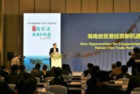 定安网络建站 定安网站建设公司