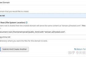 wordpress查看访问记录，wordpress域名插件