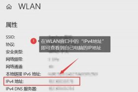 ip探针在线生成网站；高精度ip定位查询带地图
