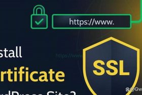 wordpress本地安装 wordpress安卓客户端最新