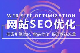 seo案例分析题 - seo有哪些经典的案例