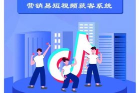 seo短视频网页入口概念、seo网站