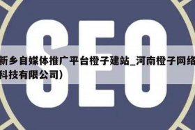 橙子建站是干什么的软件、橙子建站为什么审核不通过
