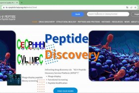 html网页制作动态与静态的区别，js是静态还是动态