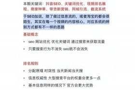 seo爱排名、seo 排名