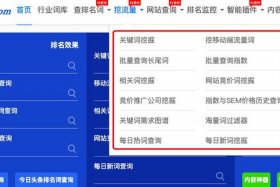 seo站长工具平台 - SEO今日查询