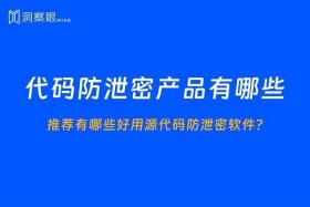 不给公司源代码公司可以吗（开发软件不给源代码）