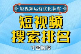 seo搜索短视频推广入口 网站推广找