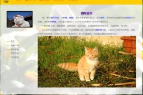 html零基础自学网页 自学html5要多久