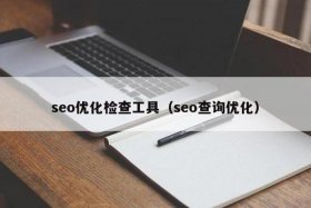 seo查询怎么查（最准的seo查询工具）