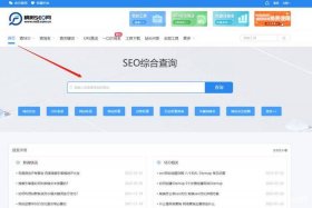 Seo查询工具；seo查询工具