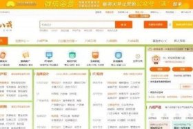 wordpress开发副业 python副业能做什么