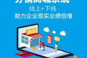 分销商城系统、分销商城功能