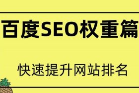 seo推广网页权重怎么填；网站seo设置是什么