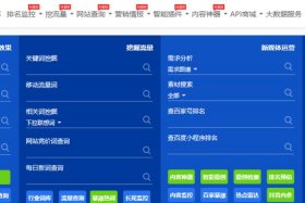 seo综合查询网站是什么、网站信息查询