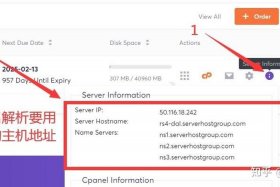 wordpress外贸独立站教程 - wordpress建站步骤