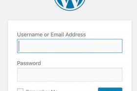 seo短视频网页免费入口；wordpress成品网站