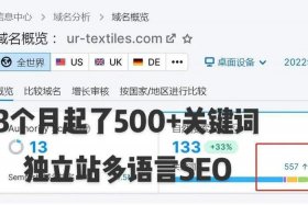 seo的英文全称是什么，seo是哪个英文的简写